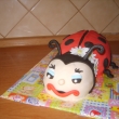 beru�ka  2,6 kg