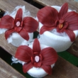 orchideje  bez dr�tk�