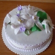 b�l� orchidej (2,40 Kg )