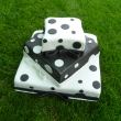 punt�kovan�-st��brn� svatba (5,80 Kg)