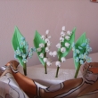 konvalinka,pom�nka