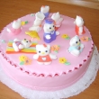 Hello Kitty 2,70 kg